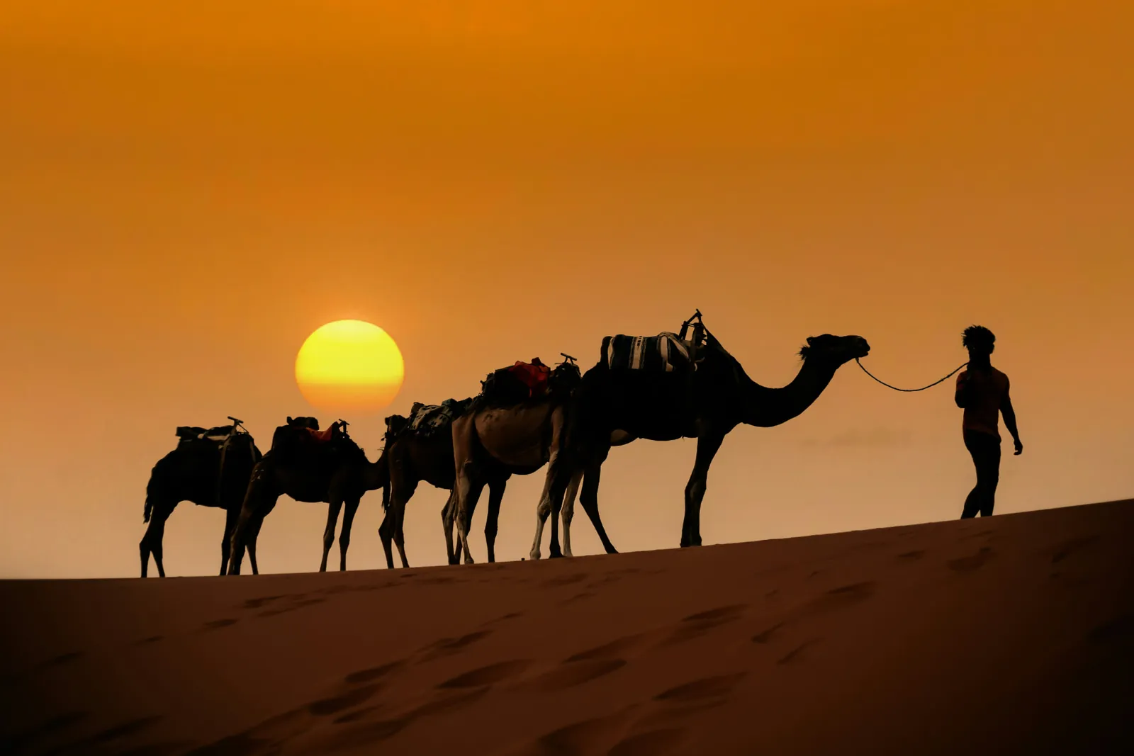 Caravana de camellos avanzando por una cresta de dunas del Sahara al atardecer